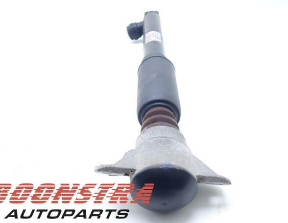 Shock Absorber AUDI A4 Avant (8K5, B8), AUDI A5 Sportback (8TA)