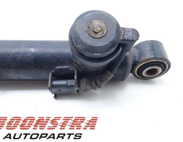 Shock Absorber AUDI A4 Avant (8K5, B8), AUDI A5 Sportback (8TA)