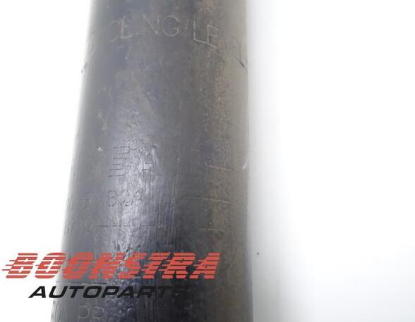 Shock Absorber NISSAN Juke (F15)