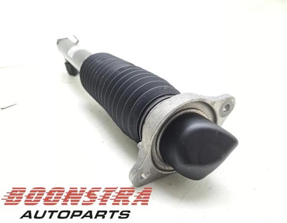 Shock Absorber HONDA Civic X Schrägheck (FC, FK)