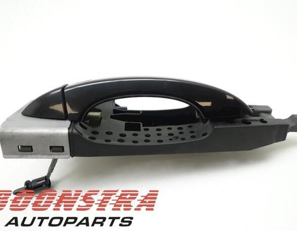 Grab Handle AUDI A8 (4H2, 4H8, 4HC, 4HL)