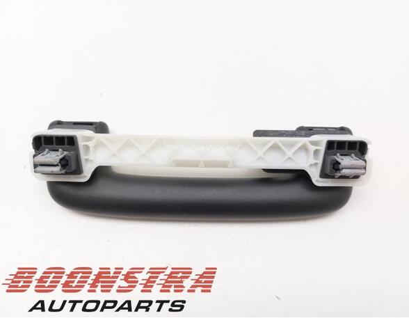 Grab Handle CUPRA BORN (K11)