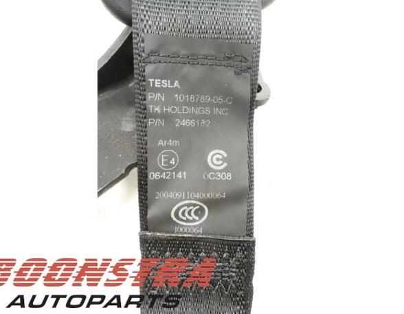 Safety Belts TESLA Model S (5YJS), TESLA Model S (--)