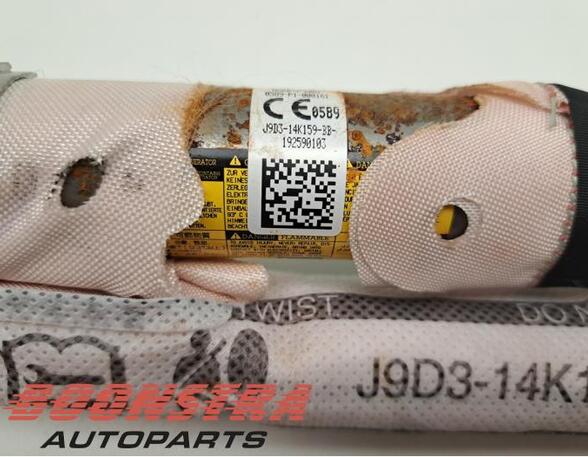 P19258036 Airbag Dach rechts JAGUAR I-Pace (X590) J9D314K159BB