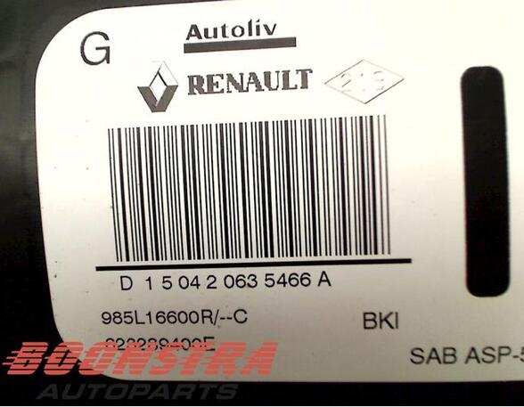 Side Airbag RENAULT MEGANE III Coupe (DZ0/1_)