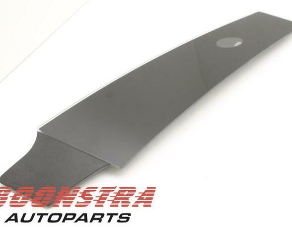 B-Pillar Trim Cover Panel TESLA Model S (5YJS), TESLA Model S (--)