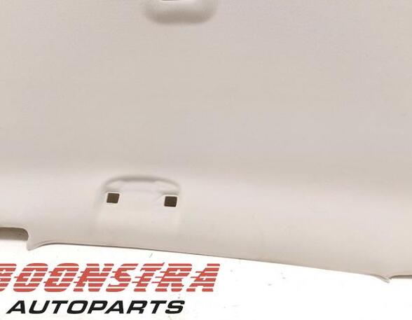 Front Interior Roof Trim Panel OPEL Zafira Tourer C (P12)