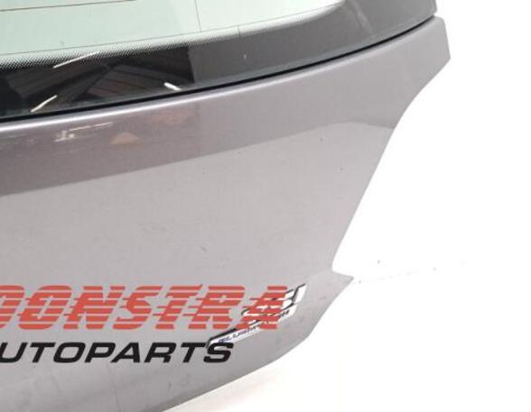 Boot (Trunk) Lid VW Polo (6C1, 6R1)