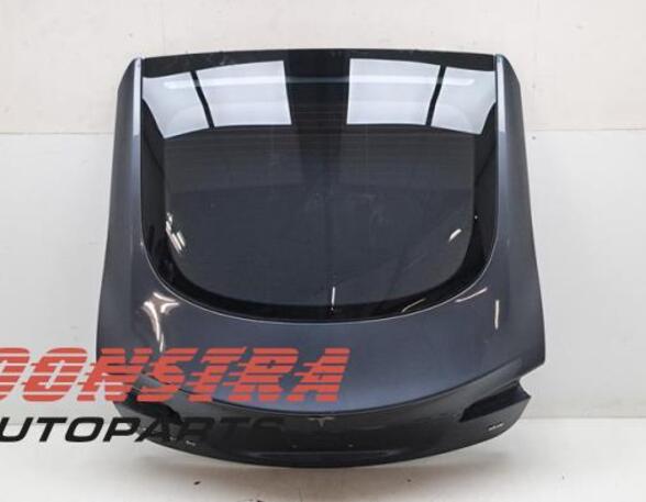 Boot (Trunk) Lid TESLA MODEL S (5YJS)