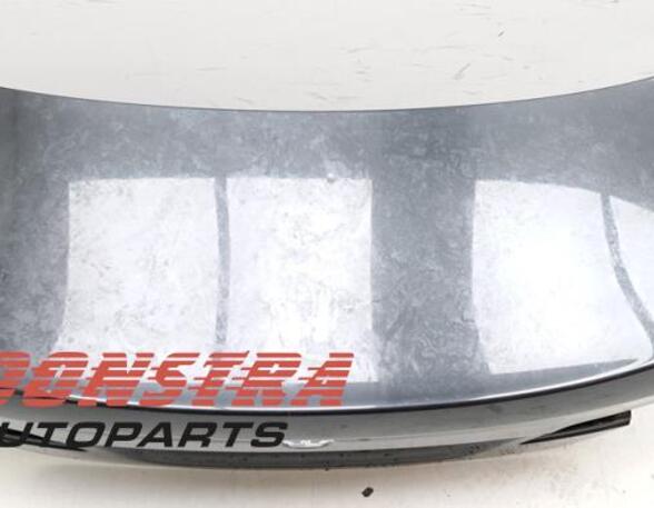 Boot (Trunk) Lid BMW 5 (F10)