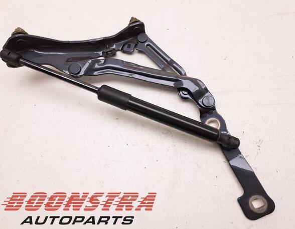 Bootlid (Tailgate) Gas Strut Spring TESLA Model 3 (5YJ3)