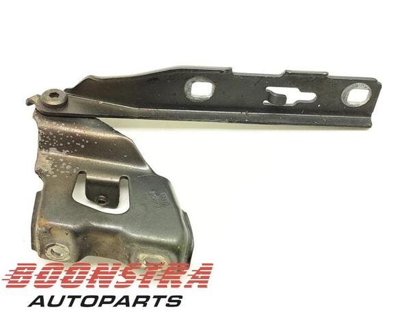 Bonnet Hinge AUDI A4 Avant (8K5, B8)