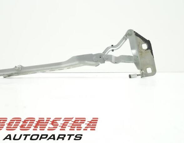 Bonnet Hinge AUDI A8 (4E2, 4E8)