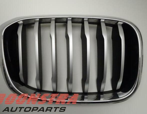 Radiateurgrille BMW X3 (F97, G01)