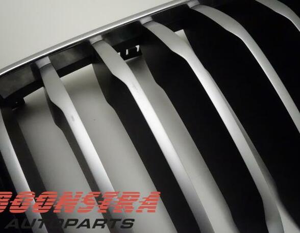 Radiateurgrille BMW X3 (F97, G01)