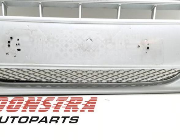 Radiateurgrille FIAT Ducato Bus (250, 290)