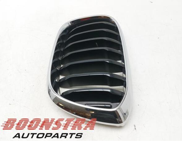 Radiateurgrille BMW X3 (G01, F97)