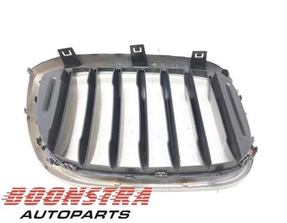 Radiateurgrille BMW X3 (G01, F97)