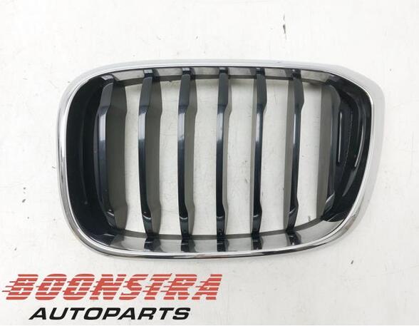 Radiateurgrille BMW X3 (G01, F97)