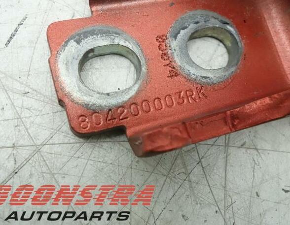 Door Hinge RENAULT Captur I (H5, J5), RENAULT Clio IV (BH)