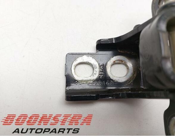 Door Hinge RENAULT Captur I (H5, J5), RENAULT Clio IV (BH)