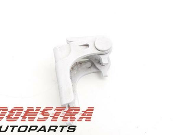 Door Hinge RENAULT Twingo III (BCM)