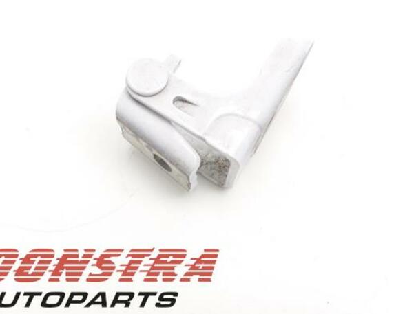 Door Hinge RENAULT Twingo III (BCM)