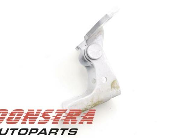 Door Hinge RENAULT Twingo III (BCM)