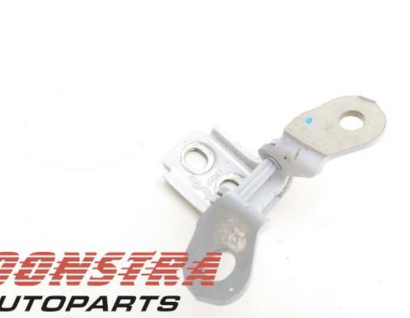 Door Hinge RENAULT Twingo III (BCM)