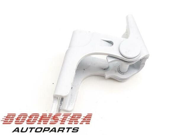 Door Hinge RENAULT Twingo III (BCM)