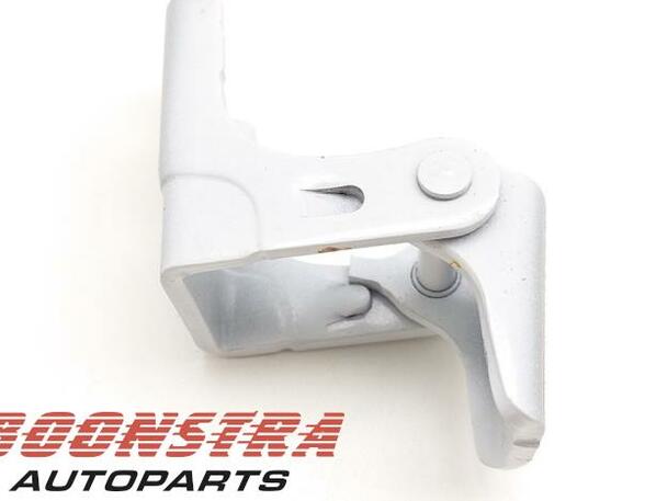 Door Hinge RENAULT Twingo III (BCM)