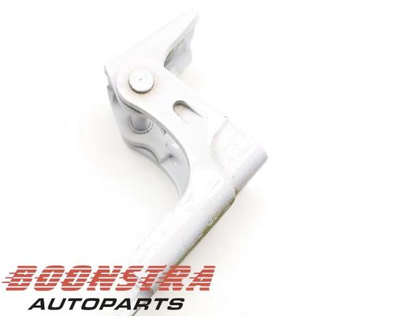 Door Hinge RENAULT Twingo III (BCM)