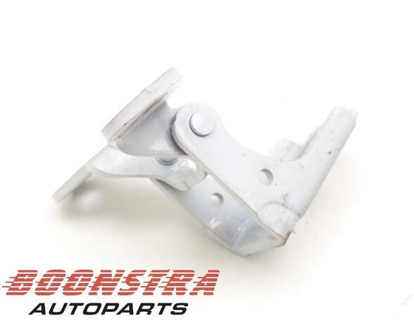 Door Hinge RENAULT Twingo III (BCM)