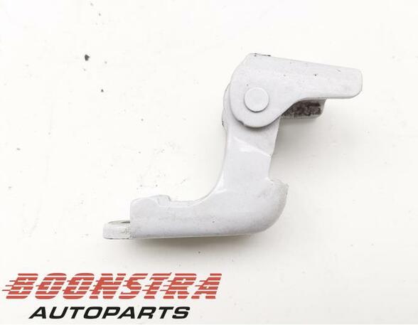 Door Hinge RENAULT Clio IV Grandtour (KH)