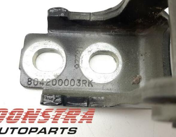 Door Hinge RENAULT Captur I (H5, J5), RENAULT Clio IV (BH)