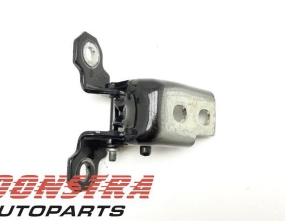 Door Hinge RENAULT Clio IV (BH)