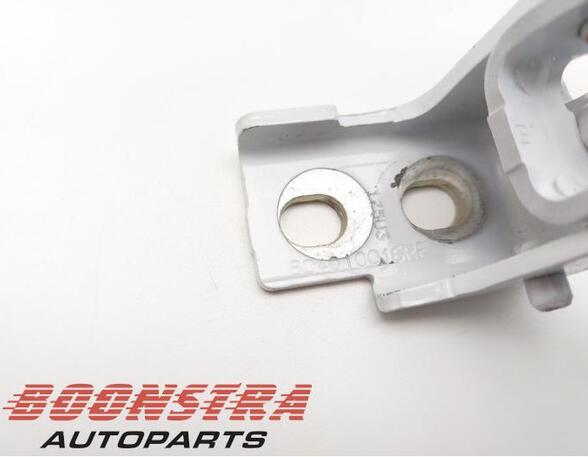 Door Hinge RENAULT Clio IV Grandtour (KH)