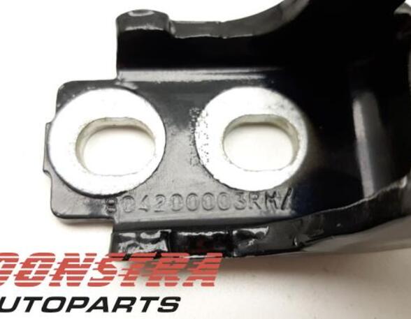 Door Hinge RENAULT Clio IV (BH)