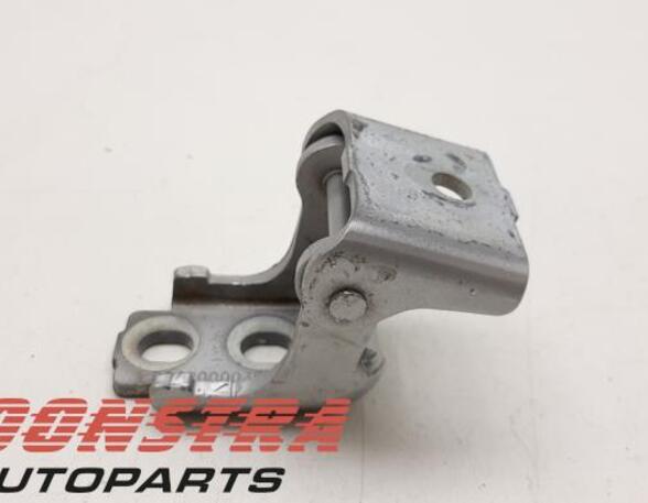 Door Hinge RENAULT Clio IV Grandtour (KH)