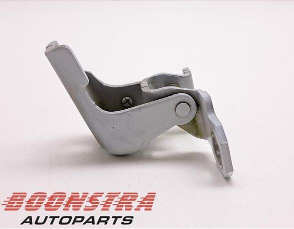 Door Hinge RENAULT Clio IV (BH)