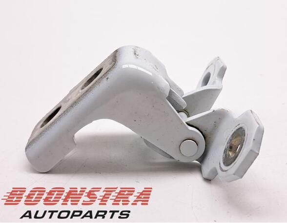 Door Hinge RENAULT Clio IV (BH)