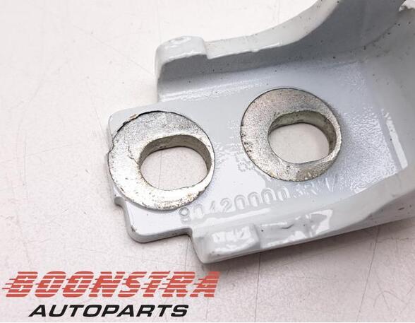 Door Hinge RENAULT Clio IV (BH)