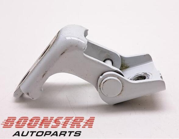 Door Hinge RENAULT Clio IV (BH)