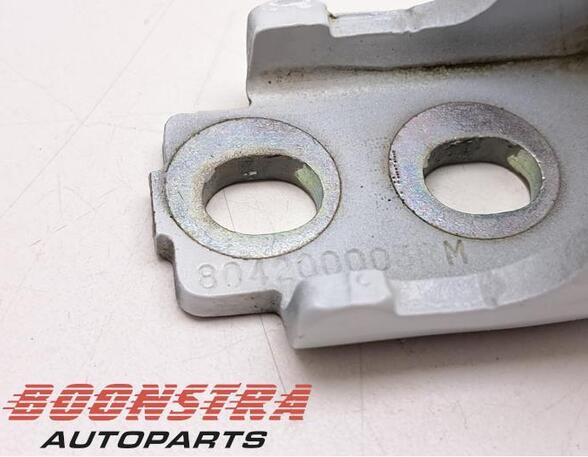 Door Hinge RENAULT Clio IV (BH)