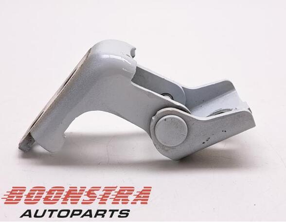 Door Hinge RENAULT Clio IV (BH)