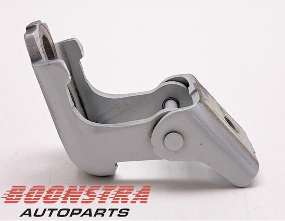 Door Hinge RENAULT Clio IV (BH)