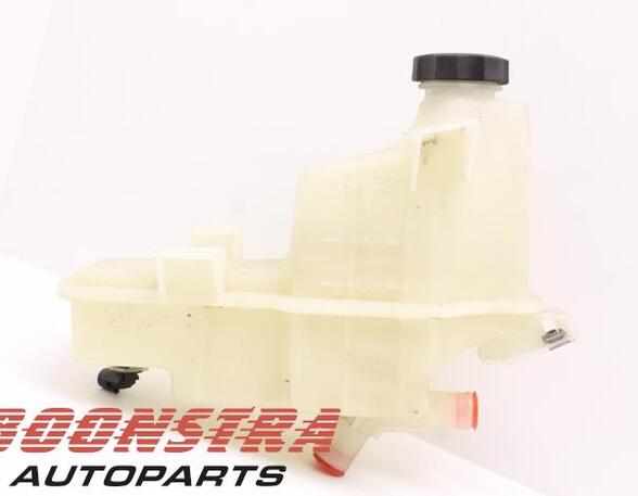 Coolant Expansion Tank TESLA MODEL S (5YJS)