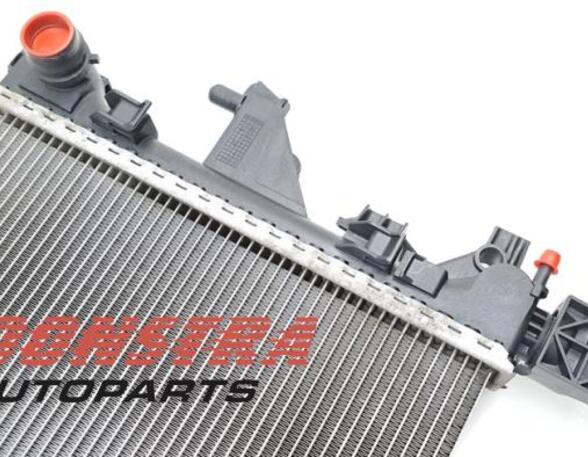 Radiator FIAT Ducato Bus (250, 290)