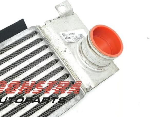 Intercooler FIAT DUCATO Bus (250_, 290_)