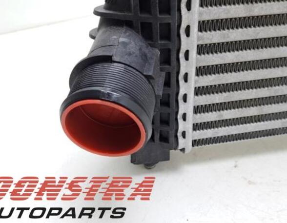 Intercooler FORD TRANSIT V363 Bus (FAD, FBD), FORD TRANSIT V363 Van (FCD, FDD)